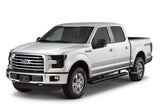 AMP RESEARCH BED STEP | 2015-2020 F150 - 75412-01A